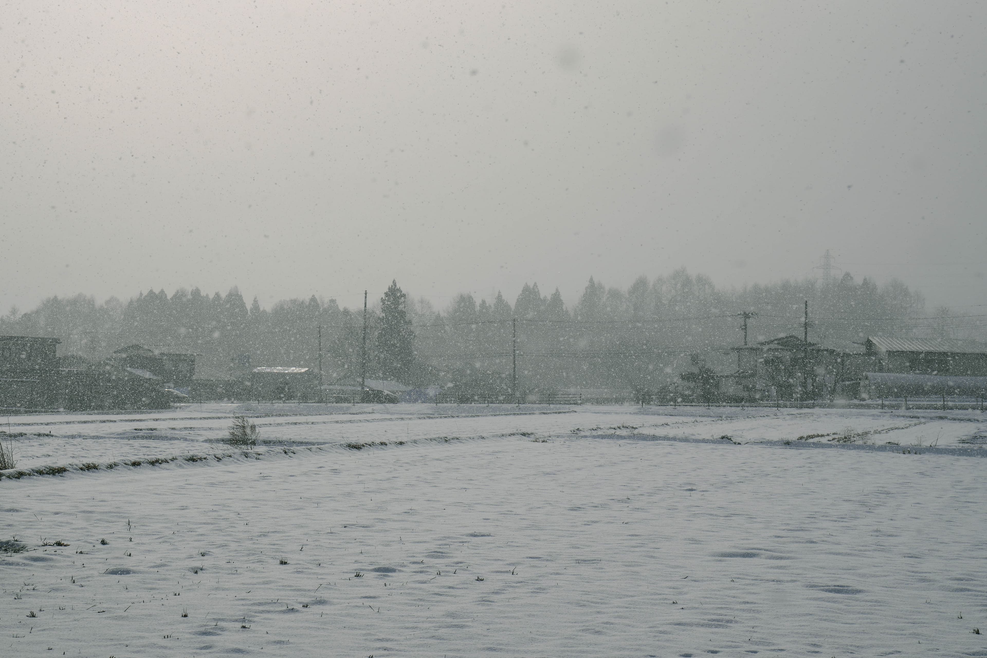 Tread on Snow